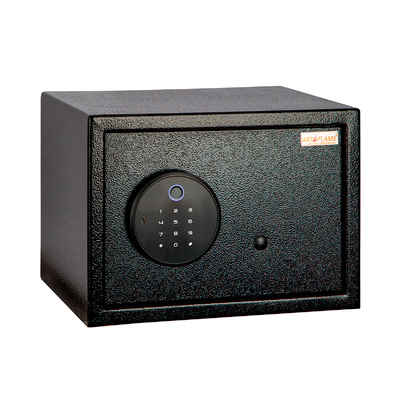 Safe FG 25 DG, 250×350×250 mm, fingerprints, digital PIN code or emergency keys, A1